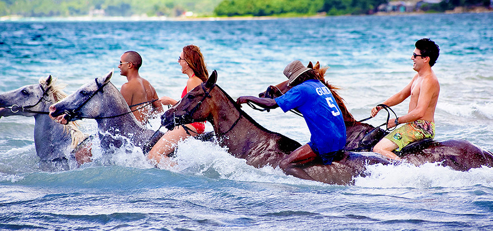 Beach Horseback Ride and Swim Adventure